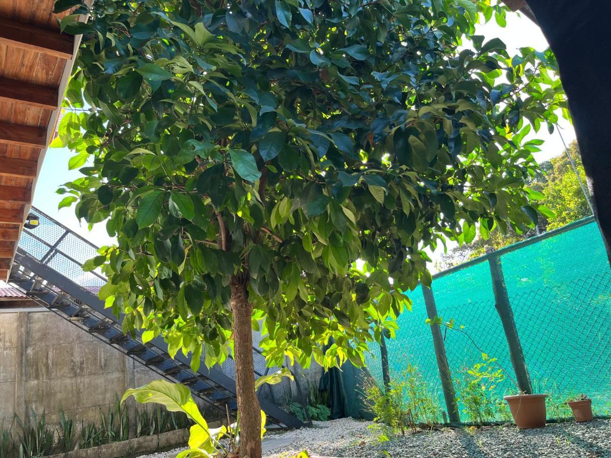 Apartamento Mango Y Cafe Lagunilla  Экстерьер фото